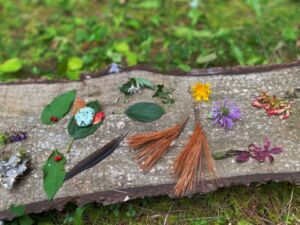 Emily Pleasance - Association of Nature & Forest Therapy