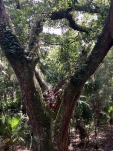 Christa Hebal - Association of Nature & Forest Therapy