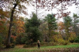 Fall PinkBeds - Association of Nature & Forest Therapy