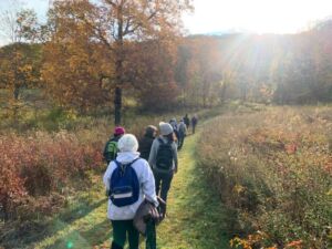 Fall Walk - Association of Nature & Forest Therapy