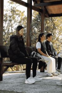 For GYG 7mb 3 - Association of Nature & Forest Therapy