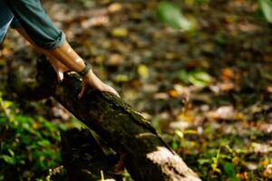 ForestBathing 64 - Association of Nature & Forest Therapy