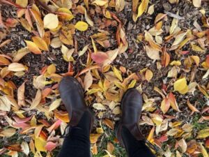 Forest Bathing with Joy - Association of Nature & Forest Therapy