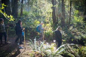 FritzPhoto Fernkingdom 27 - Association of Nature & Forest Therapy