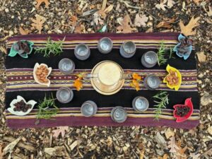 Lilac Nature Connection - Association of Nature & Forest Therapy