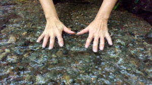 Hands on water - Association of Nature & Forest Therapy