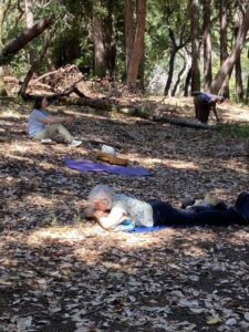 Huddart Park 2 FB - Association of Nature & Forest Therapy