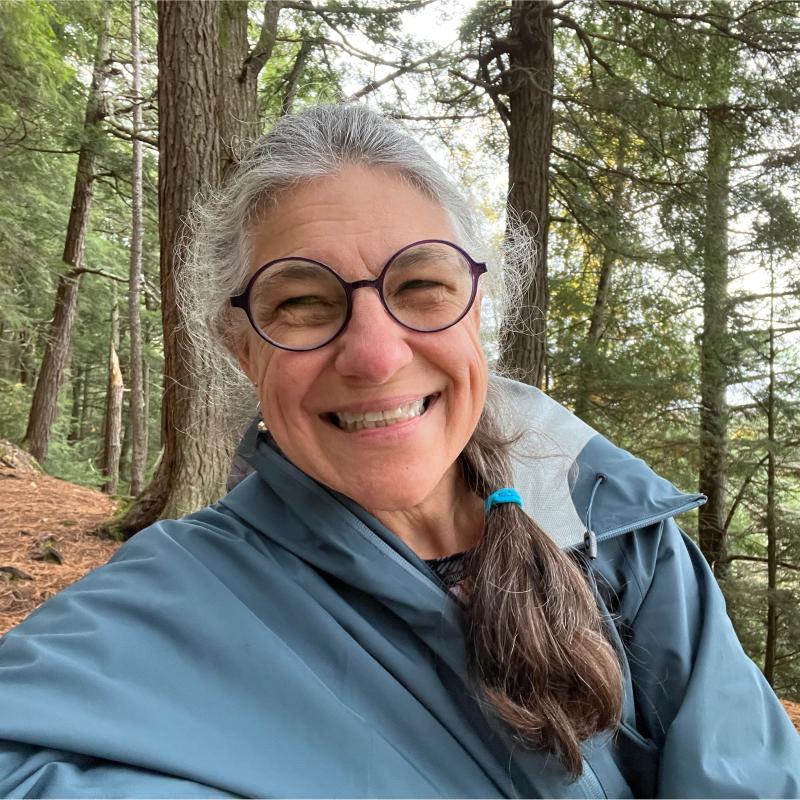 Hummingbird Healing Connections: Psychotherapy and Wellness Programs