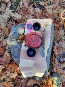 Still Wild Healing - Association of Nature & Forest Therapy