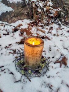 Still Wild Healing - Association of Nature & Forest Therapy