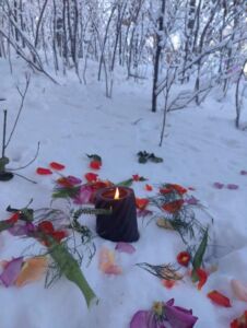Still Wild Healing - Association of Nature & Forest Therapy