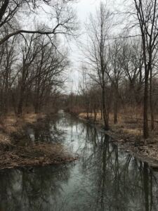Nature And Forest Therapy - Association of Nature & Forest Therapy