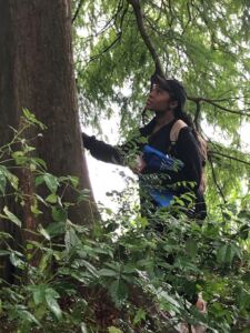 Nature And Forest Therapy - Association of Nature & Forest Therapy