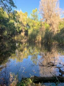Jan 29 2020 2 - Association of Nature & Forest Therapy