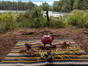 Jeanne christie 5 - Association of Nature & Forest Therapy
