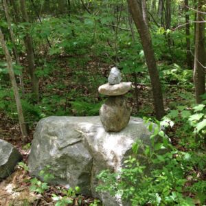 MJSorrentino - Association of Nature & Forest Therapy