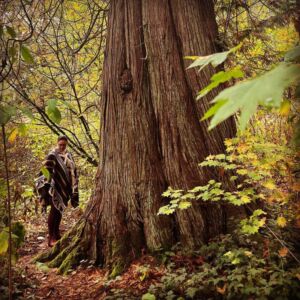 Healing Sounds Studio - Association of Nature & Forest Therapy