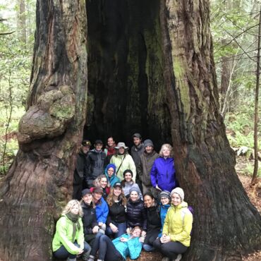 Moments in nature 12 - Association of Nature & Forest Therapy