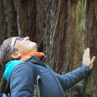 Moments In Nature 7 - Association of Nature & Forest Therapy