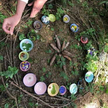 Moments in Nature 2 - Association of Nature & Forest Therapy