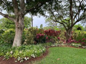 Mounts Botanical Gardens - Association of Nature & Forest Therapy