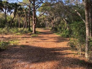 Nature path - Association of Nature & Forest Therapy