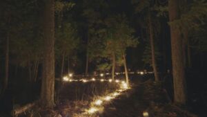 Night Walk Sabbatical 2023 - Association of Nature & Forest Therapy