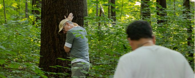 Nurtured by Nature Forest Therapy
