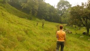 Manuela Siegfried - Association of Nature & Forest Therapy