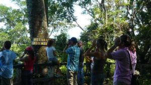 Manuela Siegfried - Association of Nature & Forest Therapy