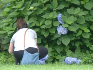 Linda Lombardo - Association of Nature & Forest Therapy