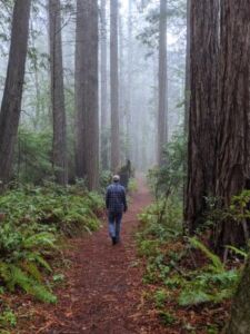 Anya Nejedlo - Association of Nature & Forest Therapy