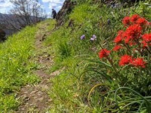 Anya Nejedlo - Association of Nature & Forest Therapy