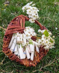 Intertwined - Association of Nature & Forest Therapy
