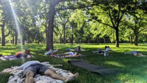 Intertwined - Association of Nature & Forest Therapy