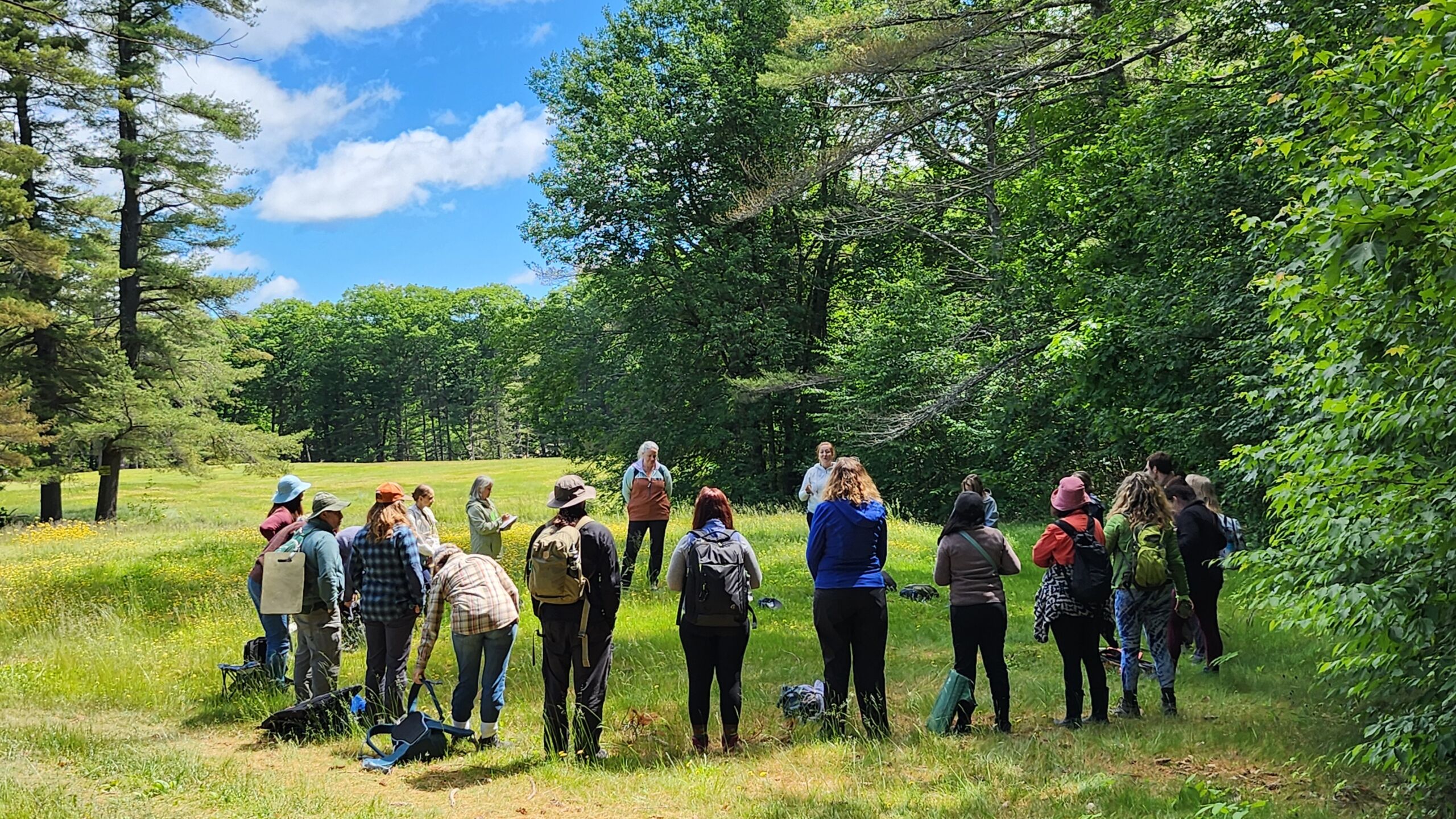Relational Forest Therapy Academy - Association of Nature & Forest Therapy