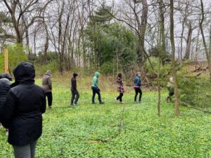RLN forest bathing group walking2 - Association of Nature & Forest Therapy