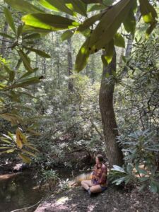 Sept21 Equinox - Association of Nature & Forest Therapy