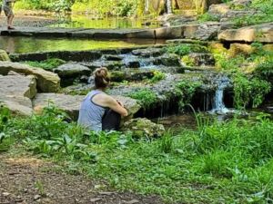 Sit Spot 1 - Association of Nature & Forest Therapy