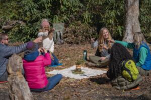 Tea Ceremony - Association of Nature & Forest Therapy