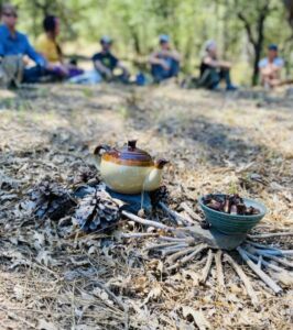 Tea Napa 1 - Association of Nature & Forest Therapy