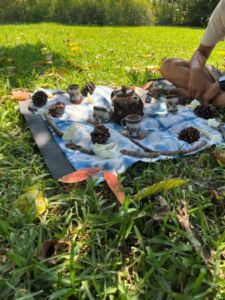 Tea ceremony at Mounts - Association of Nature & Forest Therapy