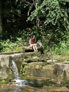 Thaden 2 - Association of Nature & Forest Therapy