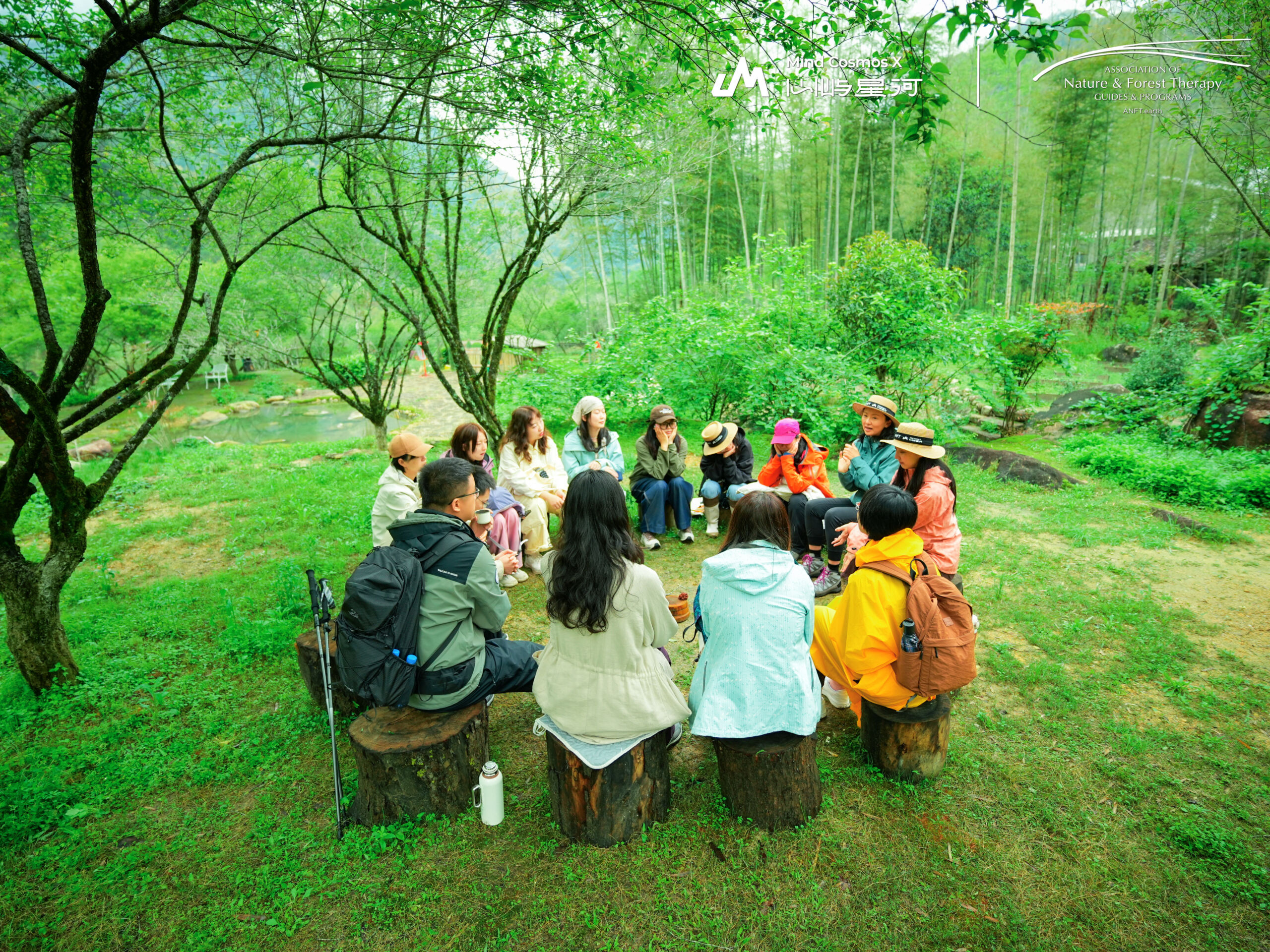 Training Immersions - Association of Nature & Forest Therapy