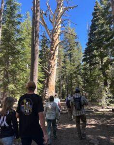 Valentine grandather walkers 7.24 - Association of Nature & Forest Therapy