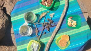 WR Tea - Association of Nature & Forest Therapy