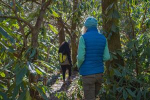 Kelly Bruce - Association of Nature & Forest Therapy