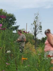 Wildflower 2 - Association of Nature & Forest Therapy