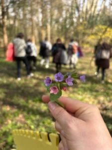 ARSENE ALINA-MARGARETA - Association of Nature & Forest Therapy