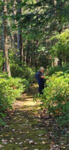 Shin Mei Spiritual Centre - Association of Nature & Forest Therapy